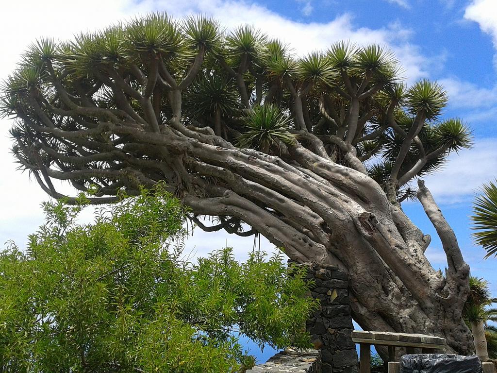 La Palmerita Vacacional Los Llanos De Aridane Eksteriør bilde