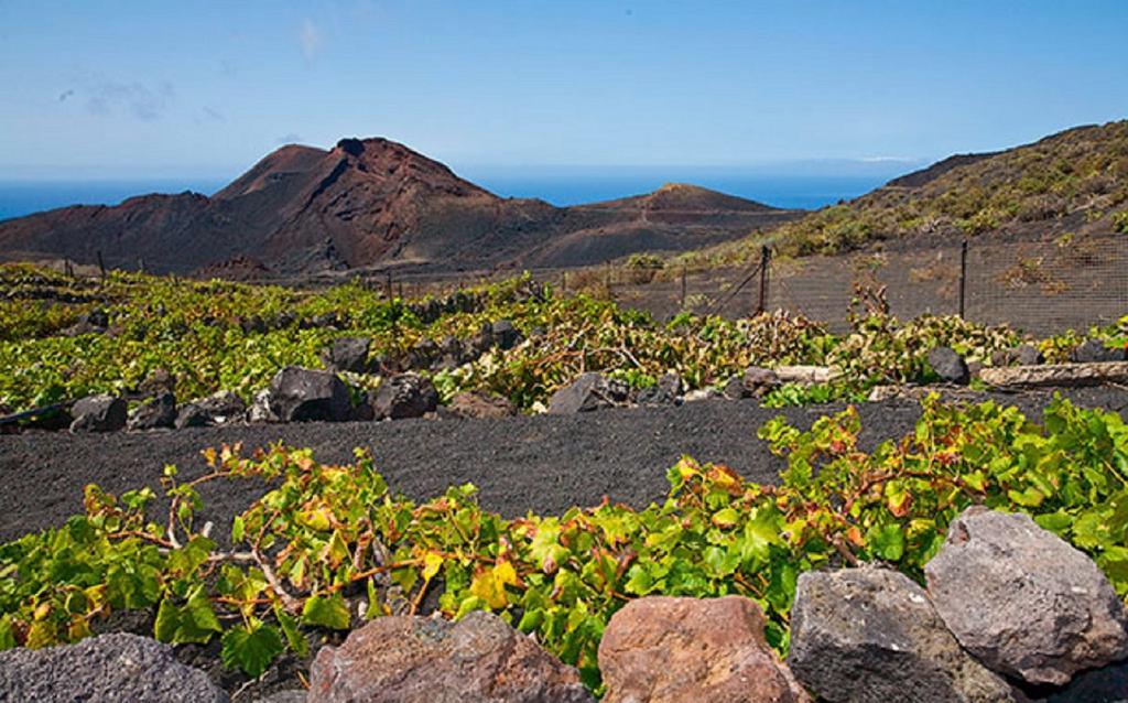 La Palmerita Vacacional Los Llanos De Aridane Eksteriør bilde